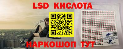 бошки Камышлов