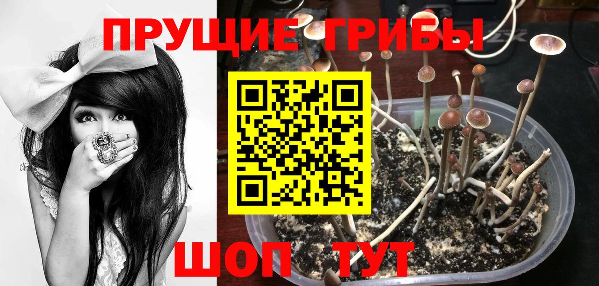 Иваново  Галлюциногенные грибы мицелий  Вход с VPN 